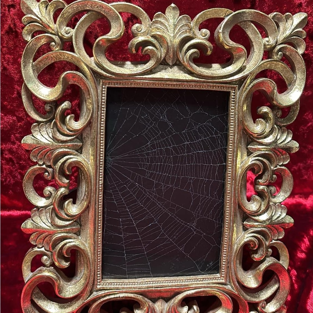 Spiderweb art